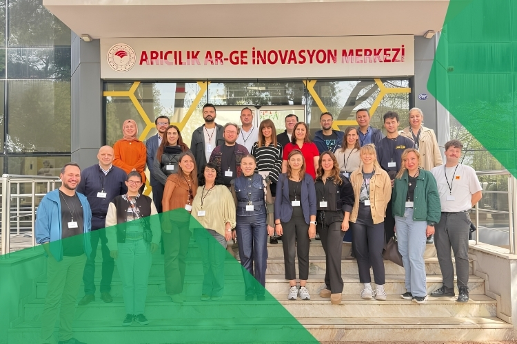 Insect-IMP group in Izmir